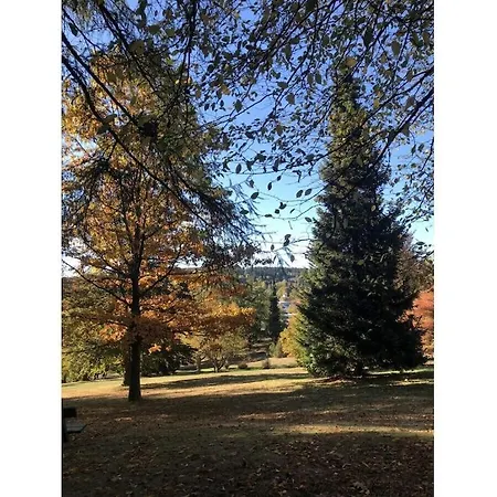 Small Mountain House Comfortable * Braunlage