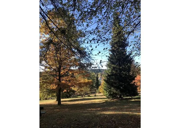 Small Mountain House Comfortable * Браунлаге